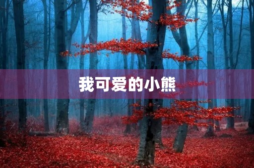 我可爱的小熊