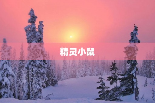 精灵小鼠