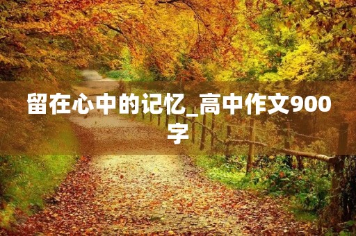 留在心中的记忆_高中作文900字