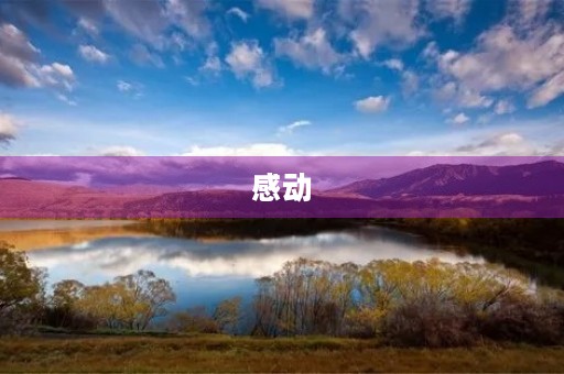 感动