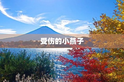 受伤的小燕子