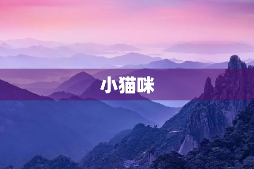 小猫咪