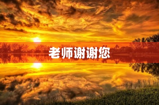 老师谢谢您