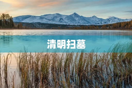 清明扫墓 清明扫墓