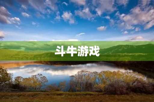 斗牛游戏