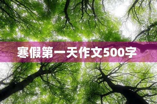 寒假第一天作文500字 