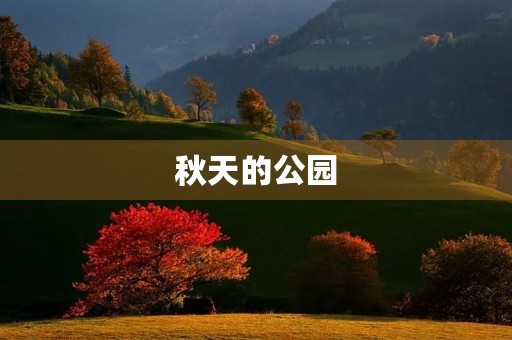 秋天的公园