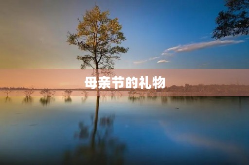 母亲节的礼物