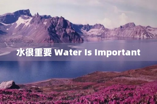 水很重要 Water Is Important