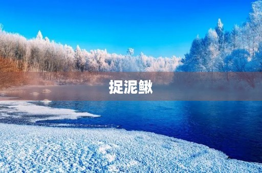 捉泥鳅 捉泥鳅