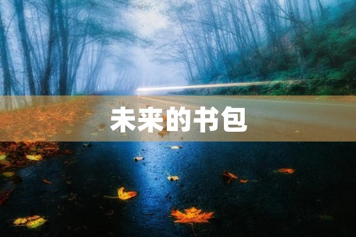 未来的书包 未来的书包
