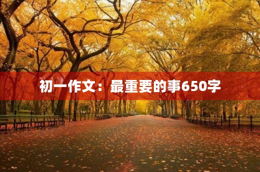 初一作文：最重要的事650字