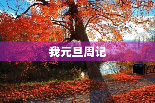 我元旦周记 我元旦周记