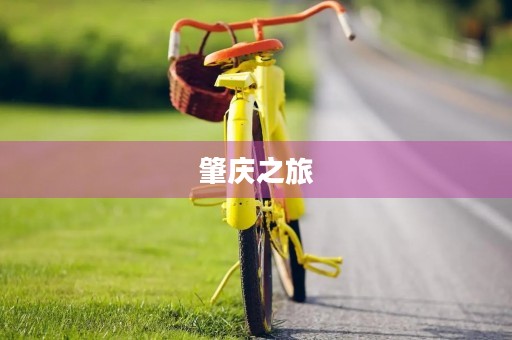 肇庆之旅 肇庆之旅