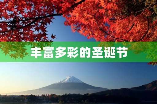 丰富多彩的圣诞节 丰富多彩的圣诞节