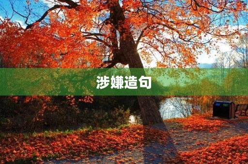 涉嫌造句 涉嫌造句