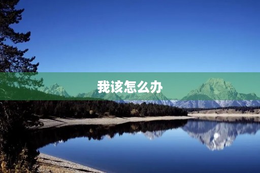 我该怎么办 我该怎么办