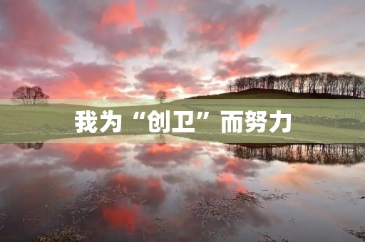 我为“创卫”而努力