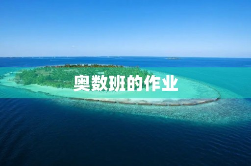 奥数班的作业