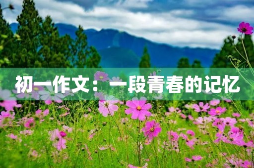 初一作文:一段青春的记忆 初一作文:一段青春的记忆