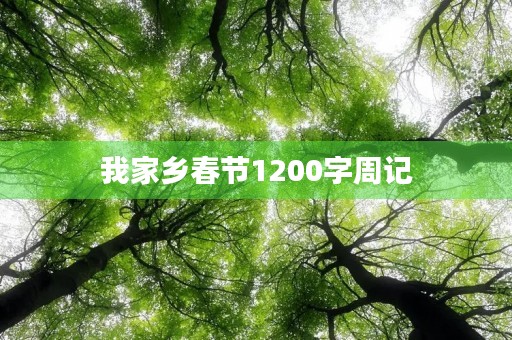 我家乡春节1200字周记 我家乡春节1200字周记