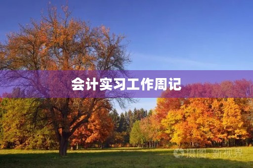 会计实习工作周记