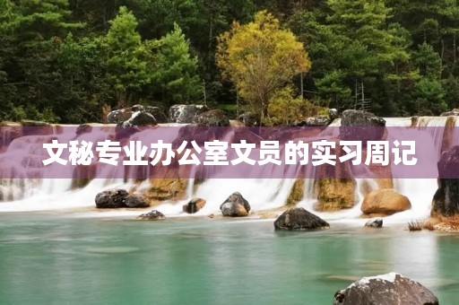 文秘专业办公室文员的实习周记 文秘专业办公室文员的实习周记