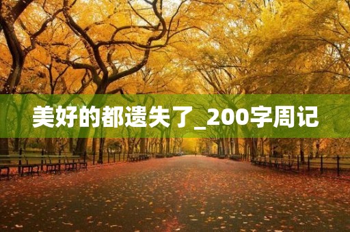 美好的都遗失了_200字周记