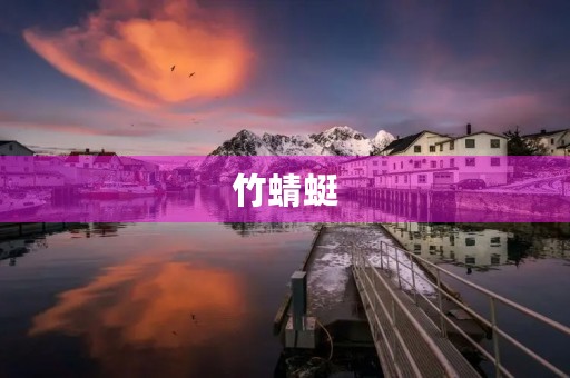 竹蜻蜓