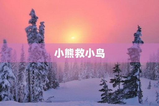 小熊救小鸟