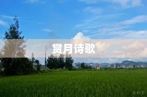 赏月诗歌