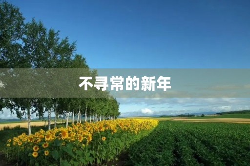不寻常的新年