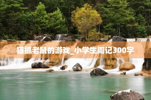 猫抓老鼠的游戏_小学生周记300字