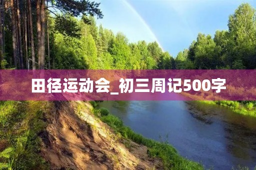 田径运动会_初三周记500字