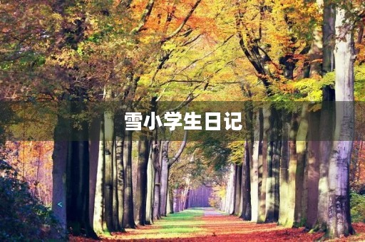 雪小学生日记