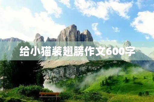 给小猫装翅膀作文600字