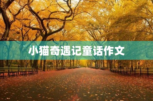 小猫奇遇记童话作文