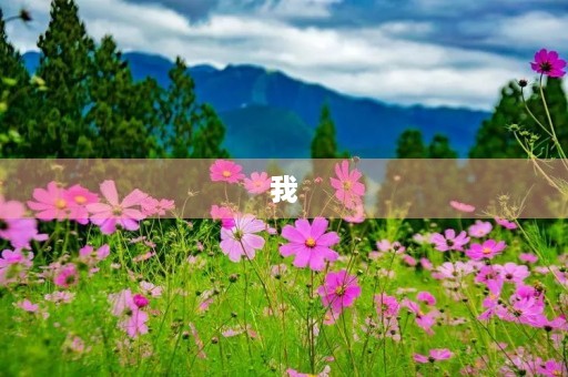 我
