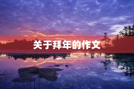关于拜年的作文 关于拜年的作文