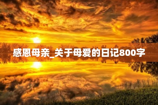 感恩母亲_关于母爱的日记800字