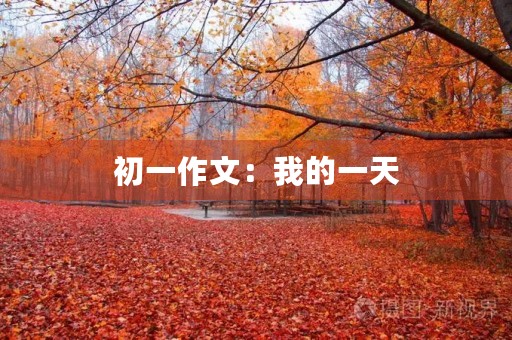 初一作文:我的一天 初一作文:我的一天