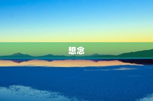 想念