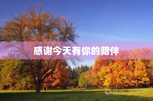 感谢今天有你的陪伴