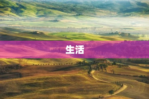 生活