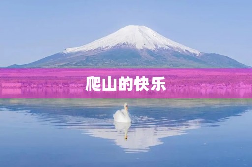 爬山的快乐
