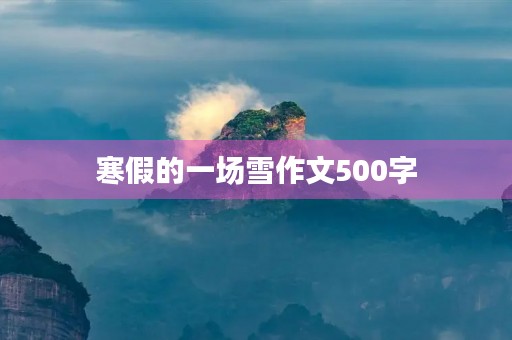 寒假的一场雪作文500字