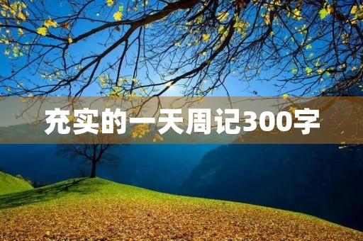 充实的一天周记300字
