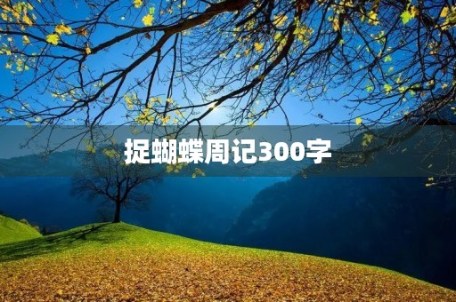 捉蝴蝶周记300字 捉蝴蝶周记300字