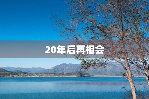20年后再相会