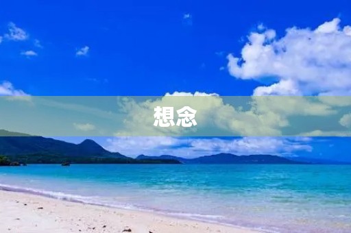 想念